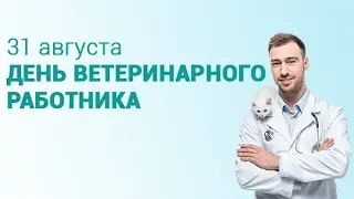 День ветеринарного работника - 31 августа. С Днём ветеринарного работника в России! Праздник.