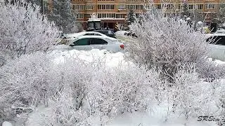 Сергей Кукушкин Февраль Размышления у  зимнего окна