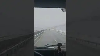 16 марта 2024 г.