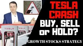 Tesla Stock Crash Analysis - How to Invest Now - Personal Portfolio Strategy