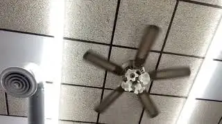 King of fans? Hugger ceiling fan 2