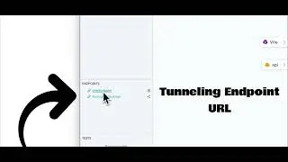 Wing adds tunneling your webhook endpoint to the developer console