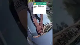 Анекдот про ментов и цирк😂 