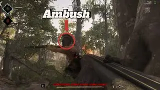 Ambush the Ambush | Hunt Showdown