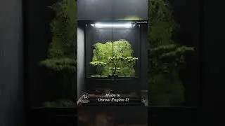 Bonsai in a Bottle - made in Unreal Engine 5! #UE5 #gaming #terrarium