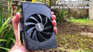 Palit's Tiny RTX 3050 - How Capable Is This Compact Graphics Card?