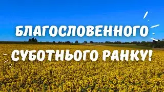 БЛАГОСЛОВЕННОГО СУБОТНЬОГО РАНКУ (ДО КІНЦЯ!)