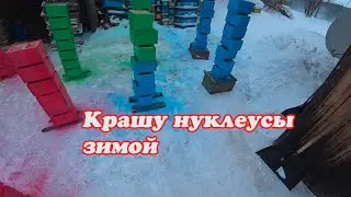 КРАШУ НУКЛЕУСЫ С ПОМОЩЬЮ КОМПРЕССОРА, ПРИХОДИЛА БЕЗДОМНАЯ СОБАКА НАЙДА, ЗИМОВКА ПЧЁЛ