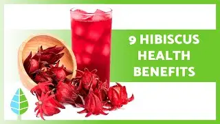 Hibiscus Benefits & How to Use It 🌺✅ (Medicinal Properties, What it is for and How to Take It)