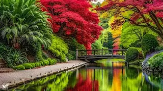RESTORATION OF THE NERVOUS SYSTEM 🌿 Gentle music calms the nervous system and pleases the soul