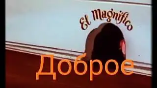 Коты поют