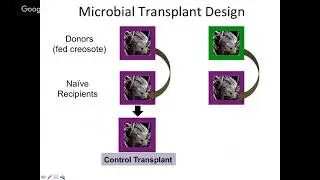 Kevin Kohl: Friends for Life: The role of gut microbes in host physiology, ecology, and evolution