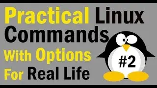 Linux Commands for Real Life with Examples