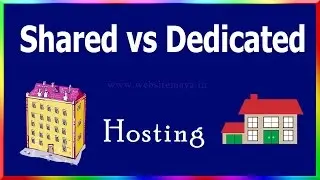 Shared hosting Vs Dedicated hosting