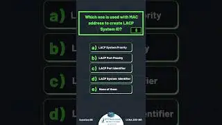 CCNA Questions & Answers!🔥| Updated CCNA 200-301 v1.1 | IPCisco.com