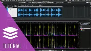 Beat Deconstruction Unmixing Components | SpectraLayers 8 Tutorials