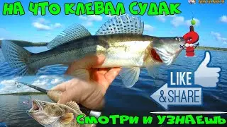 СУДАК ПРЕТ,РЫБАЛКА НА СУДАКА,КАК ЛОВИТЬ СУДАКА?СУДАК НА СПИННИНГ.