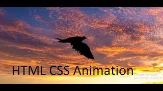 Amazing flying Bird Animation Using html & Css Animated flying bird css animation code