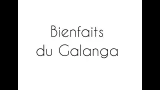 LE GALANGA : C'est quoi cette bête là ?!