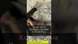 Когда жена пришла с гулянки | Семейные приколы | Тик Ток 