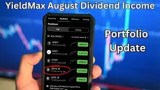 Portfolio Review - August YieldMax Dividend Income - Buying Qdte - Weekly Pay