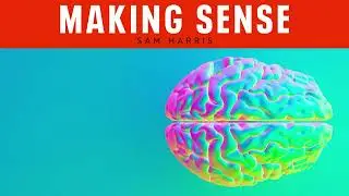 The Future of Psychedelic Medicine 2: A Conversation with Jennifer Mitchell and Sarah Abedi (#377)
