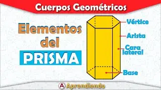 🔷ELEMENTOS DEL PRISMA | PARTES DEL PRISMA | ¿Cuáles son los elementos de los prismas? | SÚPER FÁCIL