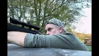 Plinking Day