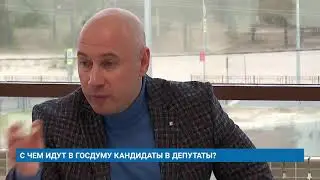 С ЧЕМ ИДУТ В ГОСДУМУ КАНДИДАТЫ В ДЕПУТАТЫ?