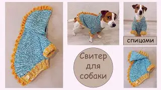 Свитер для собаки спицами⭐️| Вязание для собак❤️