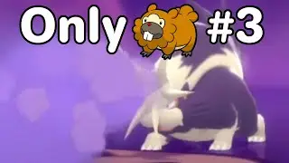 Annoying skunk. BDSP bidoof only (3)