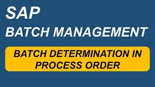 SAP PP-PI Batch Determination | Batch Determination in Process orders | SAP PP-PI