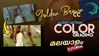 Alight Motion COLOR GRADING Malayalam | Trending GOLDEN BROWN CC Alight Motion Malayalam Tutorial