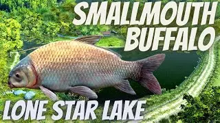 Fishing Planet Smallmouth Buffalo - Lone Star Lake.