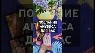ПОСЛАНИЕ АНУБИСА ДЛЯ ВАС #таро #ленорман