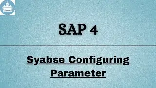 SAP 4 