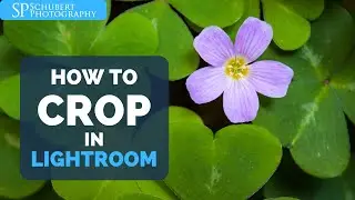 Lightroom CC Tutorial: How To Crop An Image Like A Post Processing Ninja