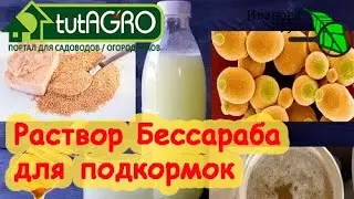 РАСТВОР БЕССАРАБА для подкормки растений. МНЕНИЕ БИОЛОГА. Вместо Байкала, Востока и прочих подобных.