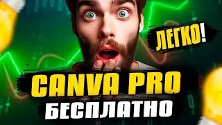 Как получить Canva Pro БЕСПЛАТНО? Инструкция 2024 года.