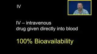 Bioavailability