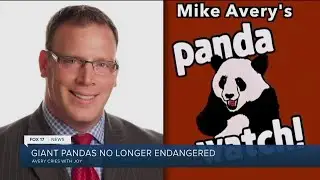 PANDA WATCH: Giant Pandas no longer endangered! Mike Avery chimes in....