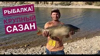 Рыбалка на сазана,карпа Крупный сазан,карп!Бешеный клев Сазана на рака!