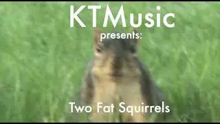 KTMusic-Two Fat Squirrels