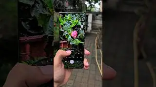 Moto Edge 50 Ultra Camera Test 🔥