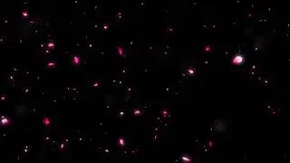 Rose Flower Effect Black Screen | Rose Flower Effect Video Background | After Effect , Premiere Pro