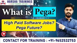 What is Pega? | High Paid Software Jobs? | Pega Future? | PEGA Training | English