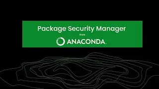 Package Security Manager