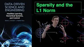 Sparsity and the L1 Norm