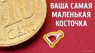 Поразительные секреты человеческих костей! Вы не поверите, что находится внутри