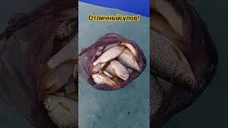 Отличный улов!